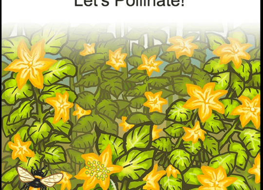 Lets Pollinate