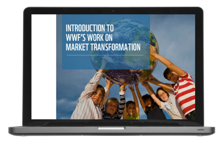 World Wildlife Fund: Market Transformation Course
