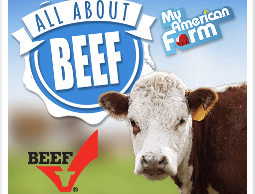 All About Beef