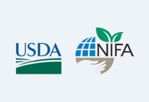 USDA: Innovation Research Grant for MIsavvy