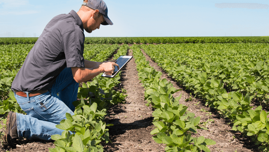 Agriculture Observing
